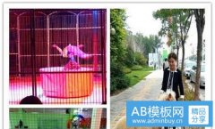 单枪匹马-一个人单枪匹马的句子