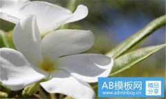 景德镇青花瓷-景德镇三大名窑