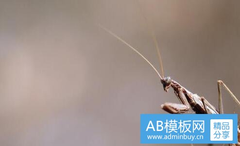 一小说改编电视剧