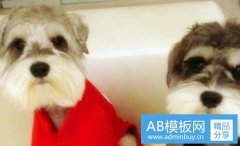 南阳人事-南阳公务员招聘信息网