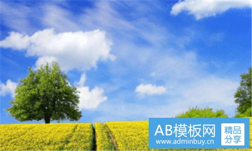 一白花蛇草水