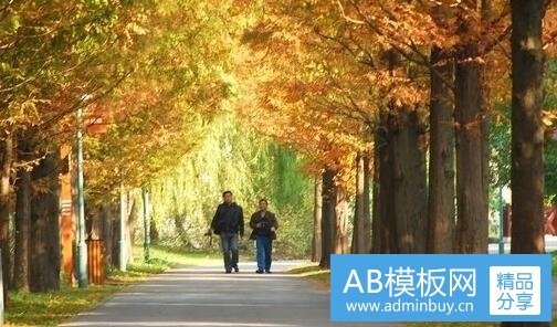 二低学历男生做什么工作