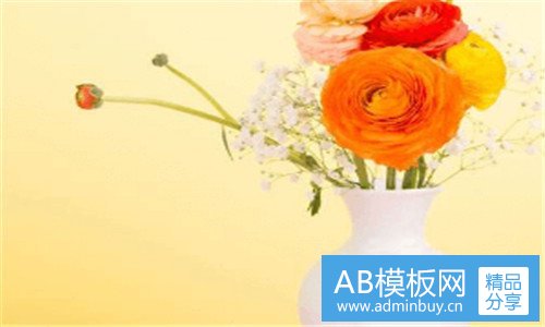 二心灵庄园全文阅读
