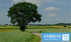 解忧杂货店-解忧杂货店txt全本免费