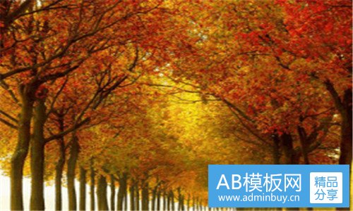 三法国的文化特色有哪些