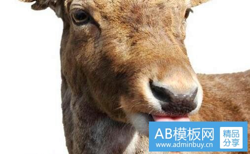 二生活中的立体图形有哪些东西