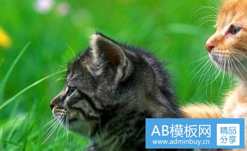 一宽带测速电信