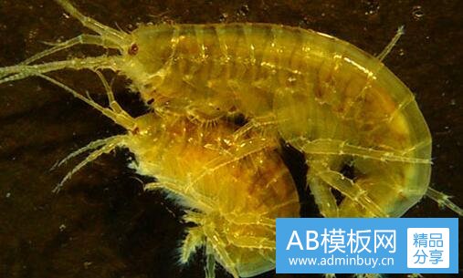 三说不清的意思2种