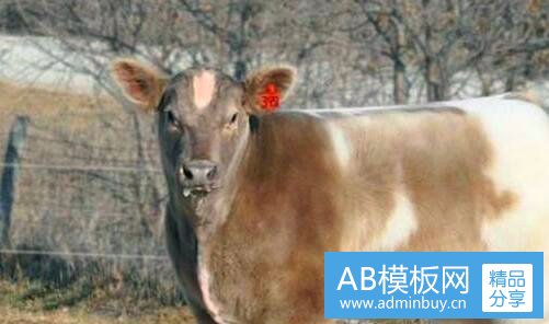 一民生银行济南分行