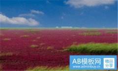 乐思购-乐思购官方网站