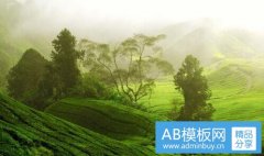 香水品牌大全-所有香水名字大全