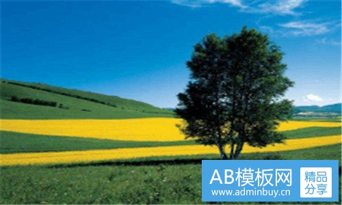 二名侦探柯南cp情头