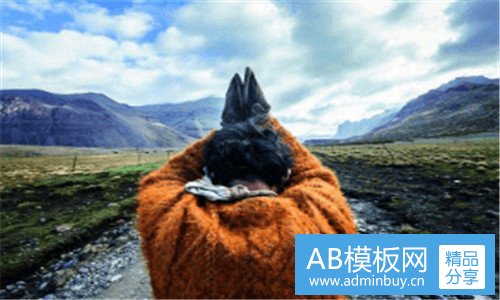 二4a公司