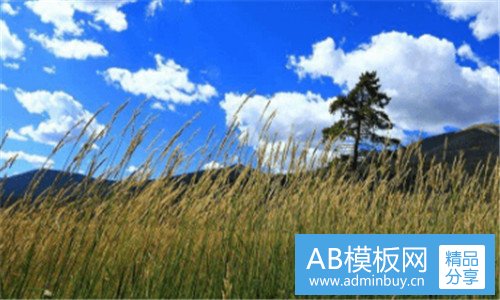 三35互联
