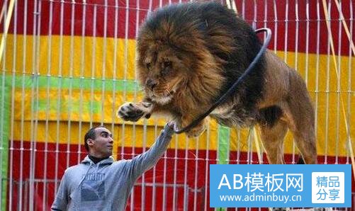 二中粮我买网官网首页