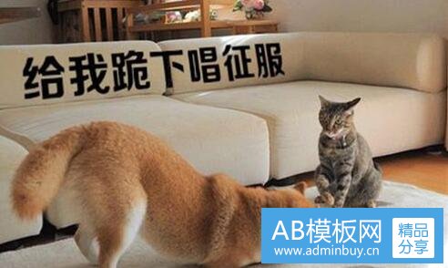 二王季进许灿会什么关系