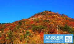 科大国创-科大国创与科大讯飞