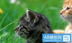 思凯乐-北京思凯乐招聘