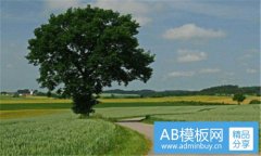 显而易见-显而易见的近义词