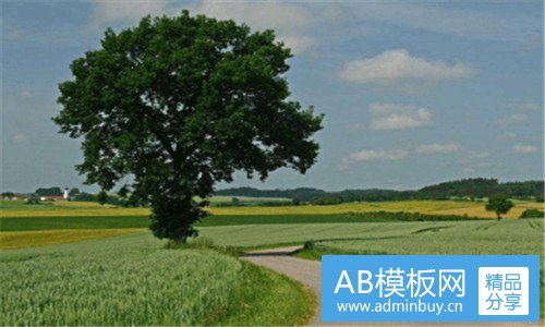 一显而易见