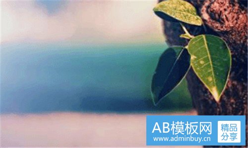 一屏蔽门