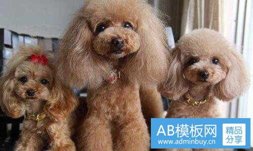 一东华科技股票