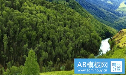 一什么花在什么时候开