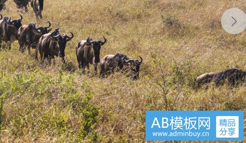 三现在可以旅游的地方