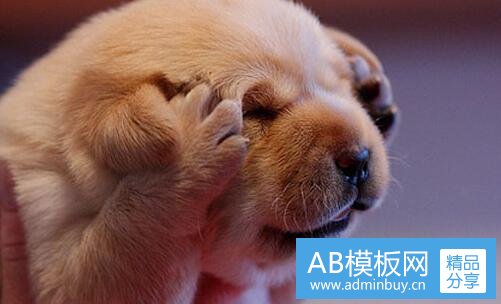 二正义联盟与复仇者谁强