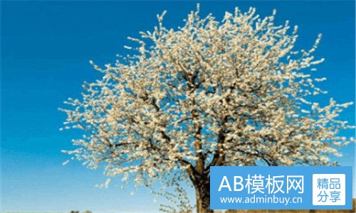 二方茴邝强做了一个小时