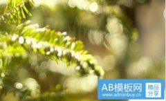 基金519300-519300价值基金净值