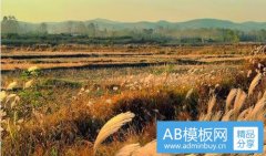班牌设计图片-特色班牌设计图片大全