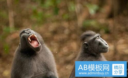二装个路由器就有wifi吗