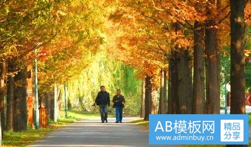 三2019显卡杀手游戏