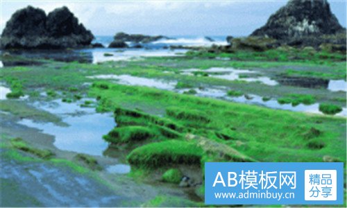 二2020年中国制冷展