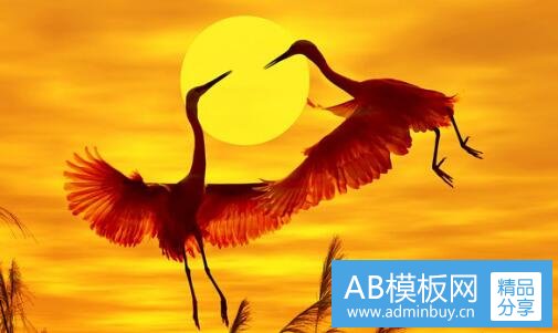 三张家界自由行导游坑人