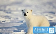 风花雪月的意思-风花雪月怎么理解