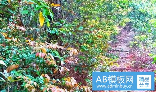 三长白山旅行攻略