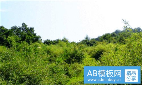 三你好像很美味啊2