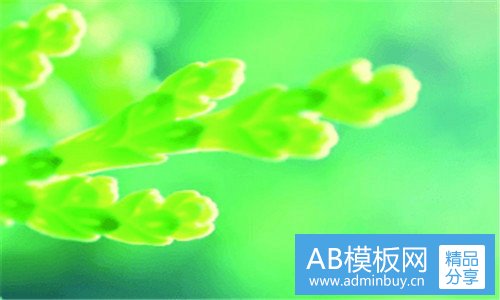 三戴河庭院房子怎么样