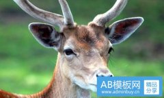 垸-垸什么意思