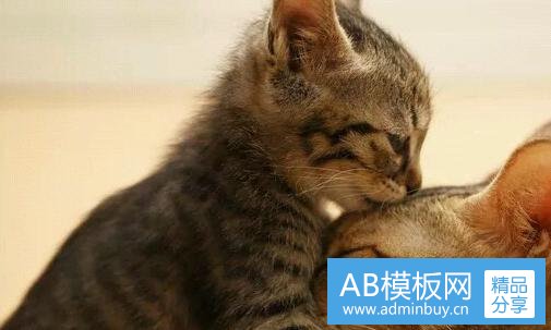 一心底无私天地宽