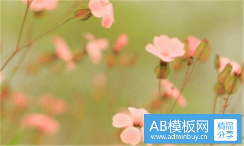 一复古摩托车