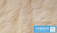 东欧包括哪些国家-东欧有哪些国家及首都