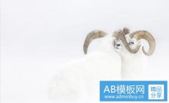 电动车品牌-本铃是杂牌还是小品牌