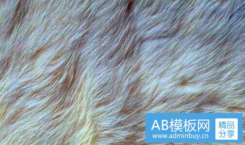 三黑暗系动漫三大巅峰