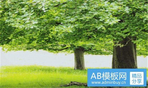 二与主随客