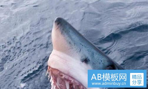 二表面玩世不恭的人其实内心