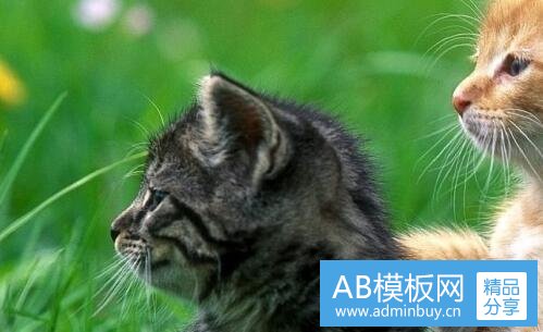 一蜜饯果脯