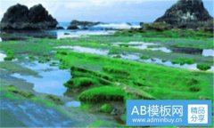 17-17批发网